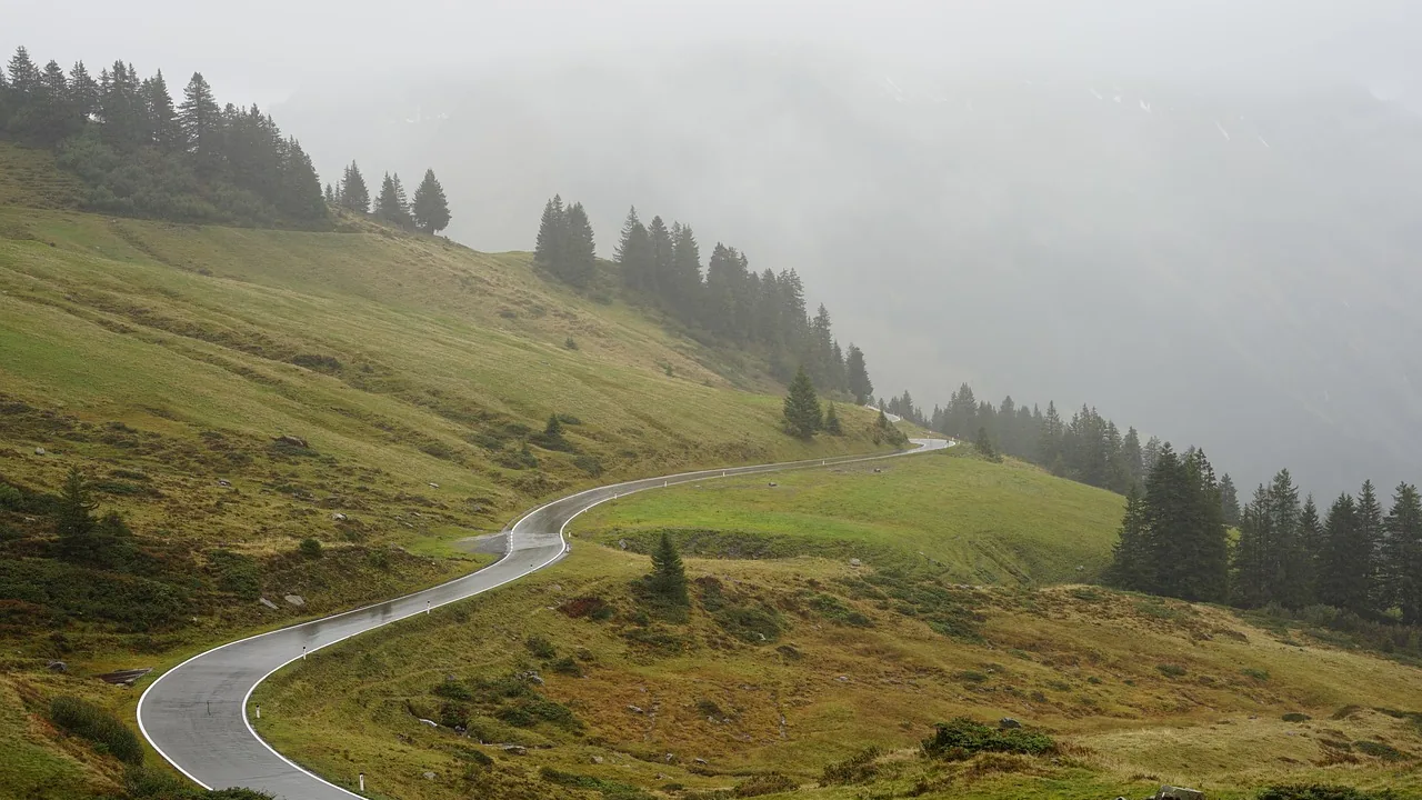 Sisli yeşil yamaçta iğne yapraklı ağaçlar arasından kıvrılarak inen ıslak yol